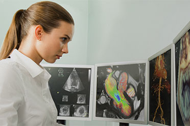 ESC Research Grants and Fellowships